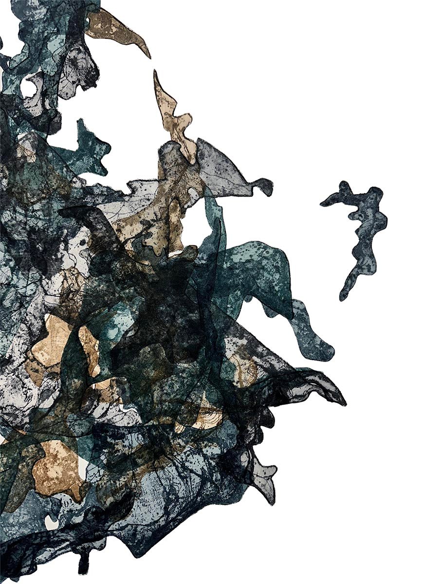 Fragmenta Itineris II: dettaglio della stampa calcografica