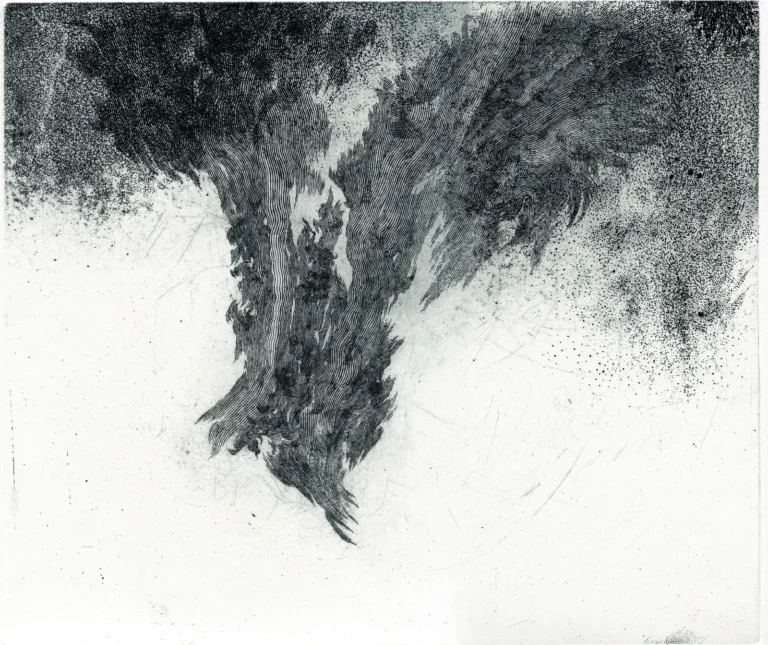 Alex Altinier, «Soffio» (2026): acquaforte, 35 × 50 cm