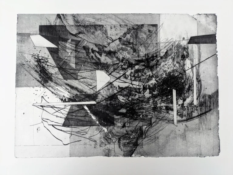 Anna Berrino, «Campo di Forze» (2026): acquaforte, acquatinta, maniera al sale, 35 × 50 cm