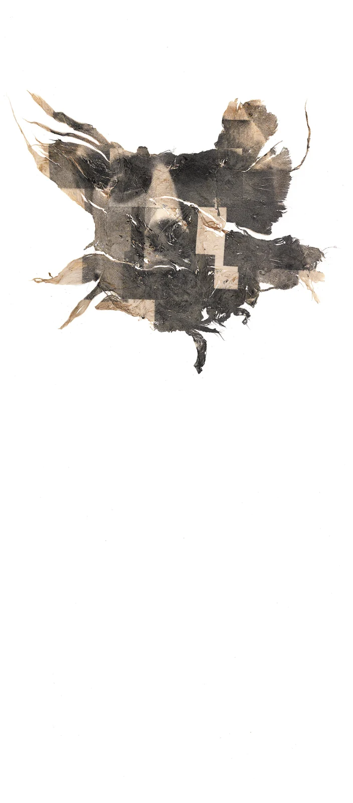 Majka Dokudowicz, «Infinite Fragments» (2025): serigrafia su fibra vegetale, chine-collé, 50 × 25 cm